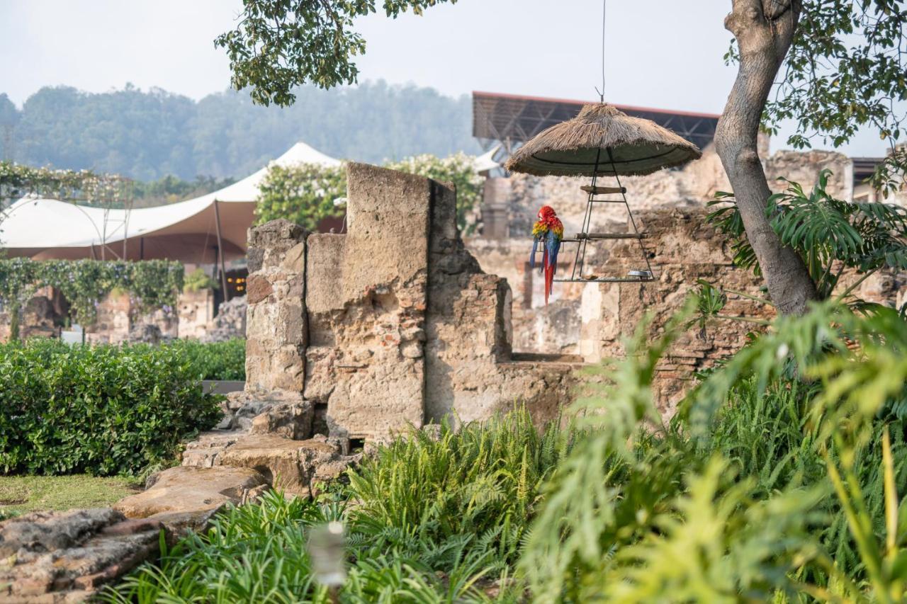 Hotel Museo Spa Casa Santo Domingo Antigua Buitenkant foto The ruins of the old zoo
